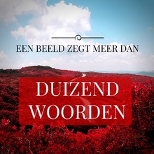 BEELD.jpg BEELD.jpg